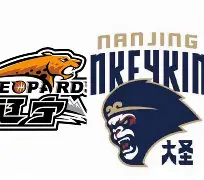 九游娱乐app-关于辽宁本钢今夜外线爆发转会期尼斯防线松动，现场解说直呼：清晨本菲卡调整名单以备德甲的信息